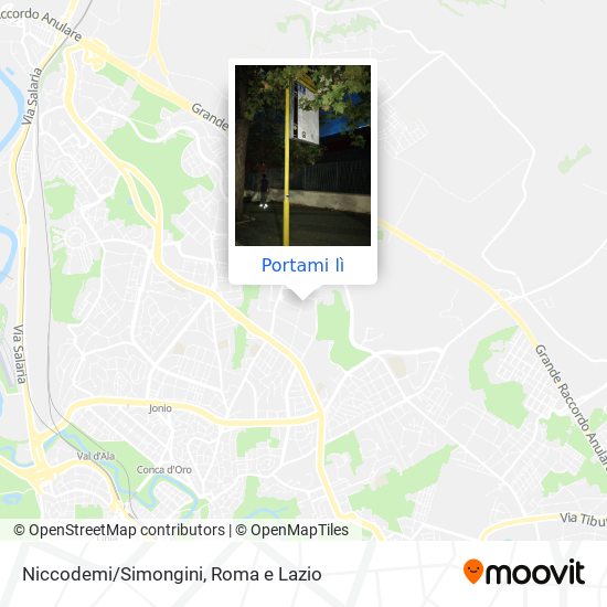 Mappa Niccodemi/Simongini