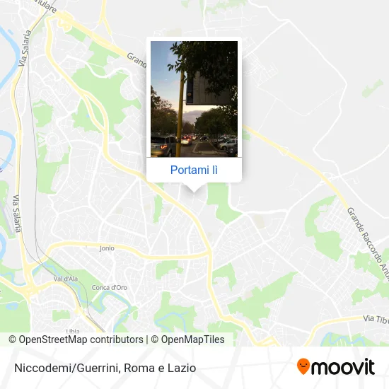 Mappa Niccodemi/Guerrini