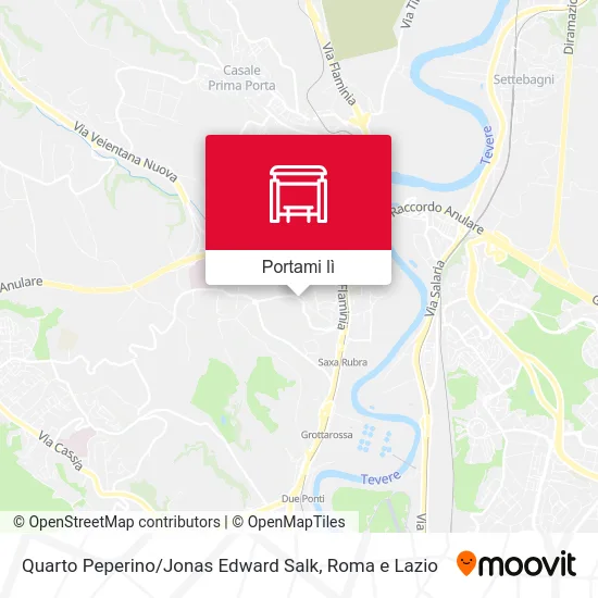 Mappa Quarto Peperino / Jonas Edward Salk