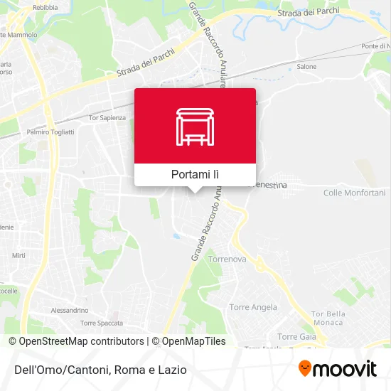 Mappa Dell'Omo/Cantoni