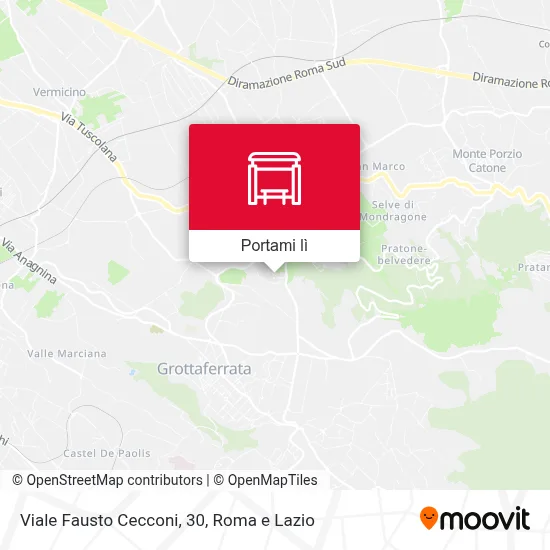 Mappa Viale Fausto Cecconi, 30