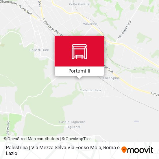 Mappa Palestrina | Via Mezza Selva Via Fosso Mola