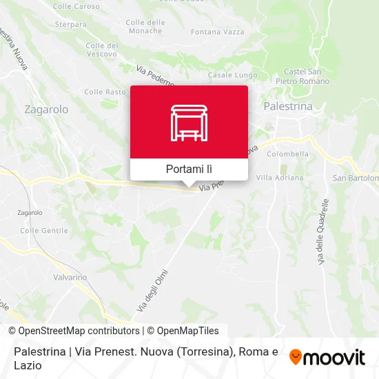 Mappa Palestrina | Via Prenest. Nuova (Torresina)