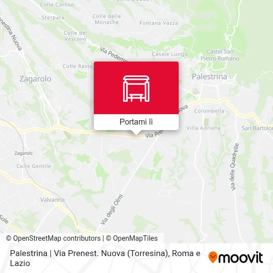 Mappa Palestrina | Via Prenest. Nuova (Torresina)