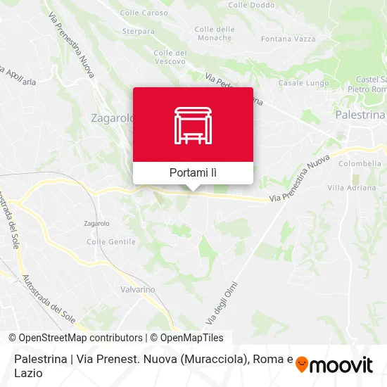 Mappa Palestrina | Via Prenest. Nuova (Muracciola)