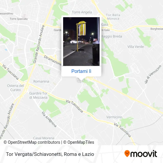 Mappa Tor Vergata/Schiavonetti