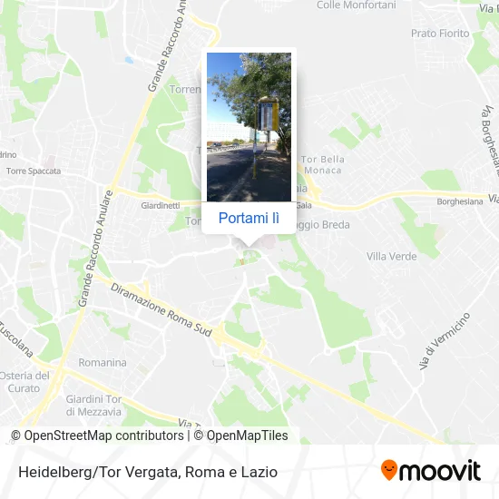 Mappa Heidelberg/Tor Vergata