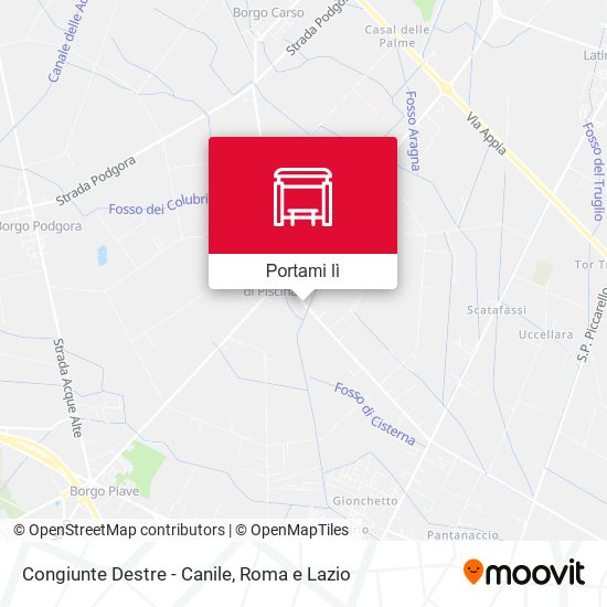 Mappa Congiunte Destre - Canile