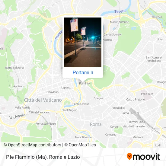 Mappa P.le Flaminio (Ma)