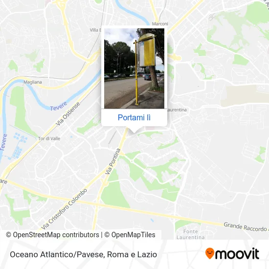 Mappa Oceano Atlantico/Pavese