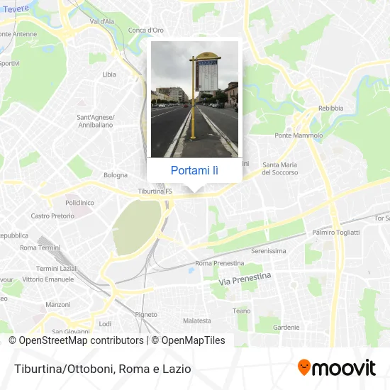 Mappa Tiburtina/Ottoboni