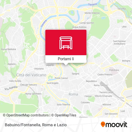 Mappa Babuino/Fontanella