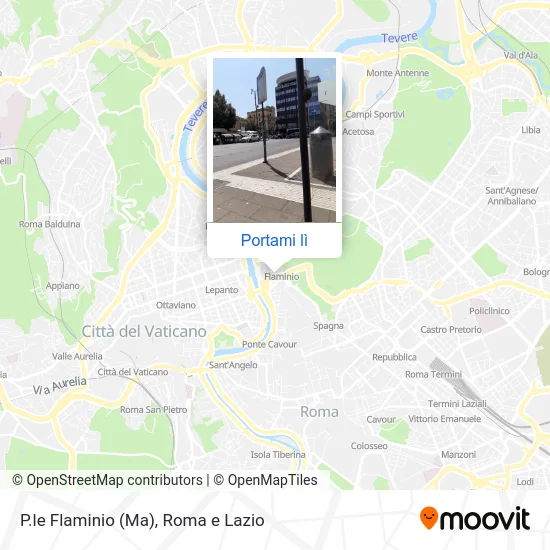 Mappa P.le Flaminio (Ma)