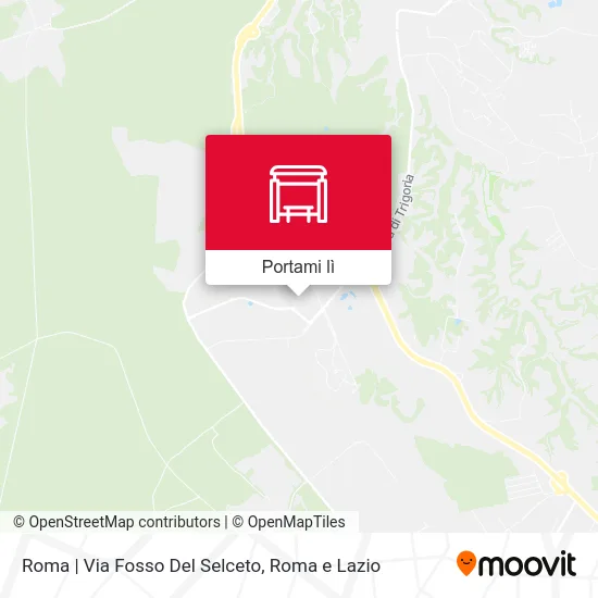 Mappa Roma | Via Fosso Del Selceto
