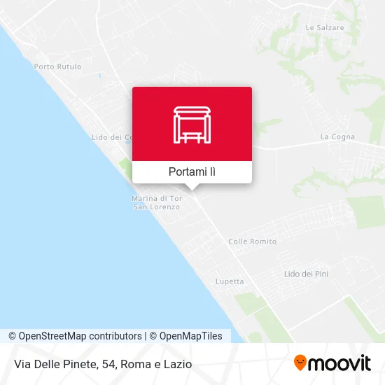 Mappa Via Delle Pinete, 54