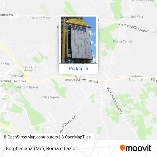 Mappa Borghesiana (Mc)