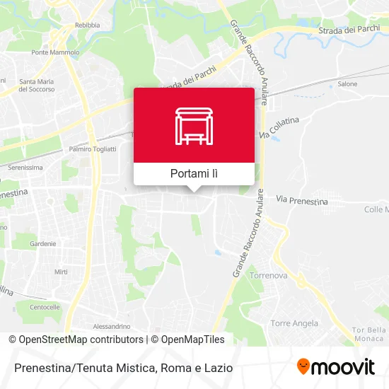 Mappa Prenestina/Tenuta Mistica