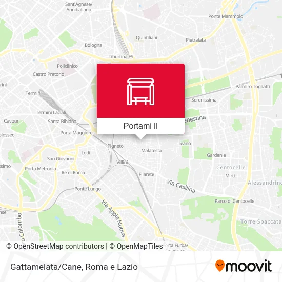Mappa Gattamelata/Cane