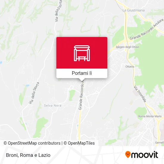 Mappa Broni