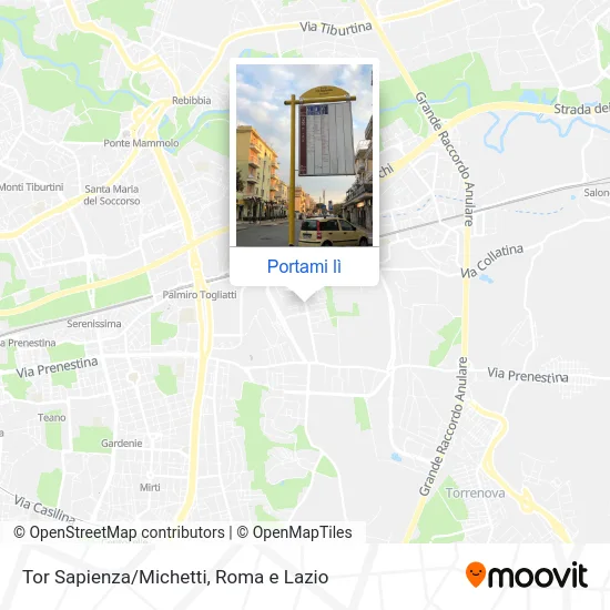 Mappa Tor Sapienza/Michetti