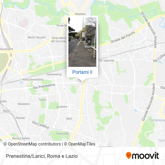 Mappa Prenestina/Larici