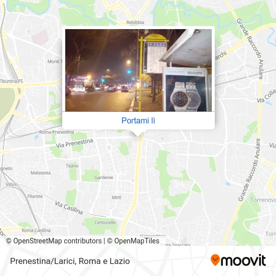Mappa Prenestina/Larici