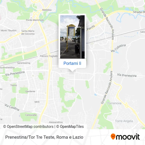 Mappa Prenestina/Tor Tre Teste