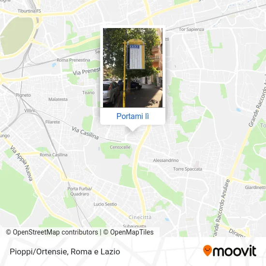 Mappa Pioppi/Ortensie