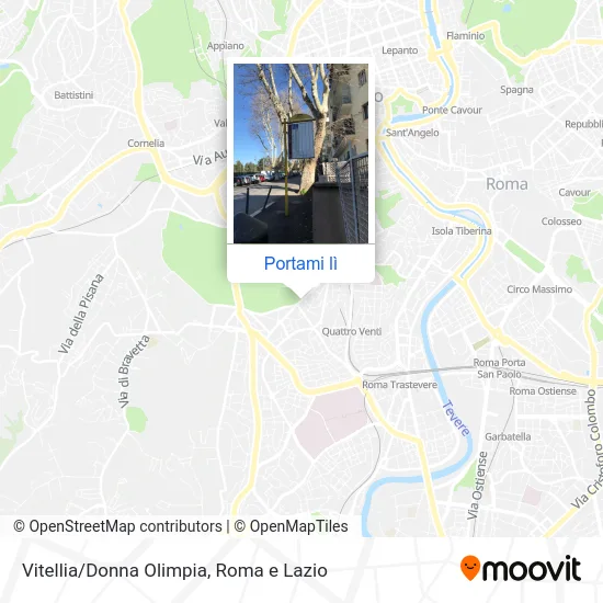 Mappa Vitellia/Donna Olimpia