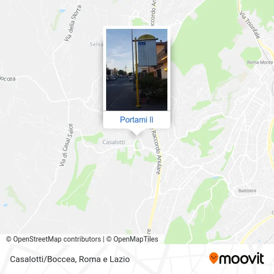 Mappa Casalotti/Boccea