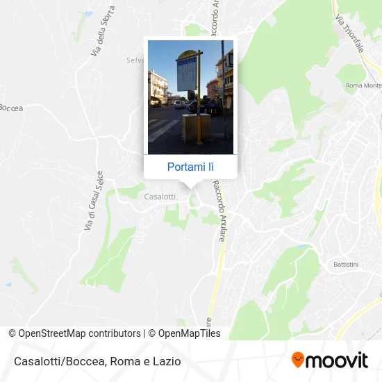 Mappa Casalotti/Boccea