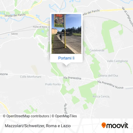 Mappa Mazzolari/Schweitzer