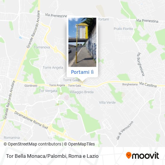 Mappa Tor Bella Monaca/Palombi
