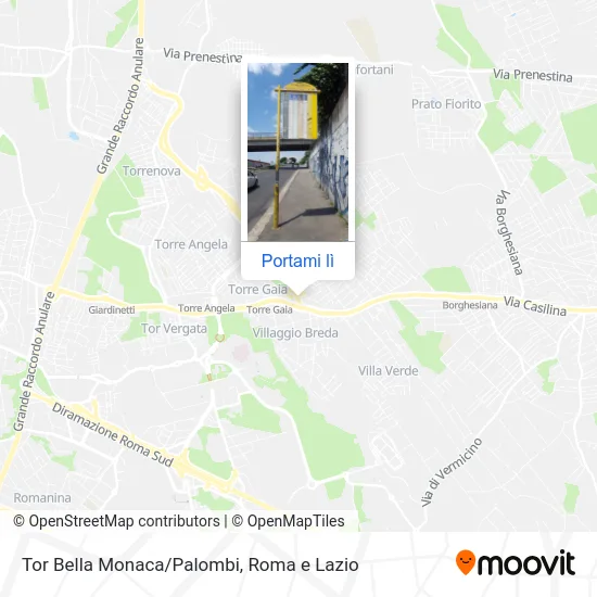 Mappa Tor Bella Monaca/Palombi