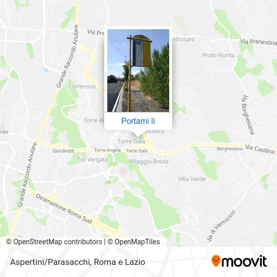 Mappa Aspertini/Parasacchi