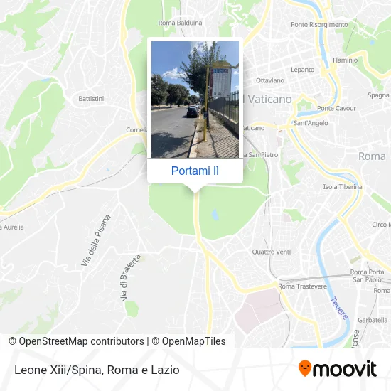 Mappa Leone Xiii/Spina