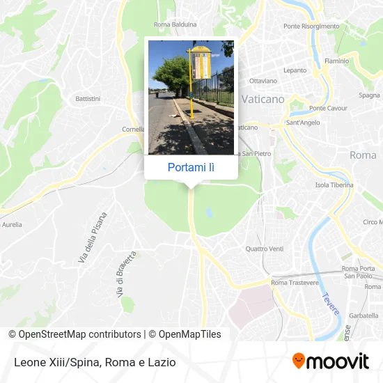 Mappa Leone Xiii/Spina