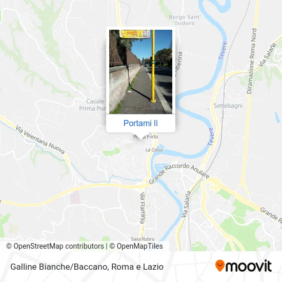 Mappa Galline Bianche/Baccano