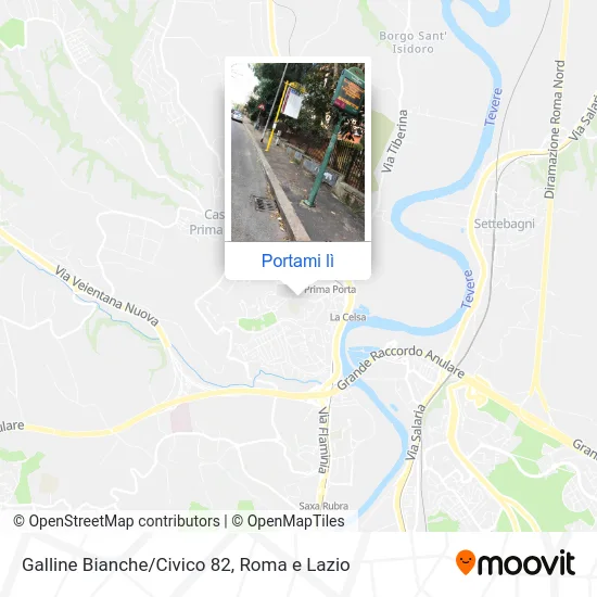 Mappa Galline Bianche/Civico 82