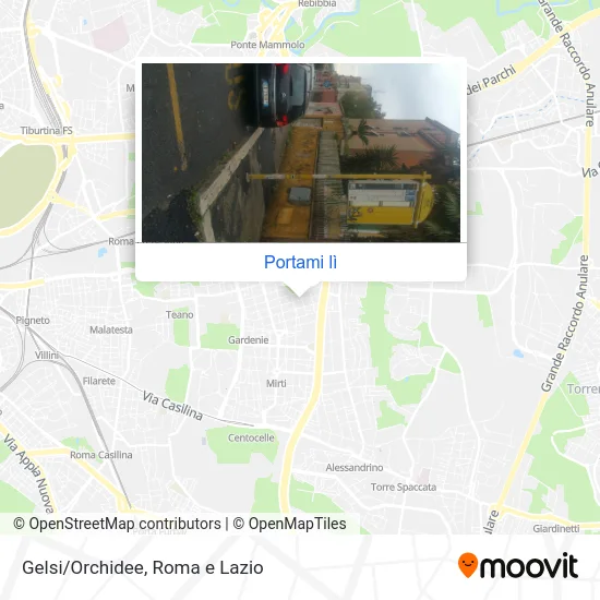 Mappa Gelsi/Orchidee