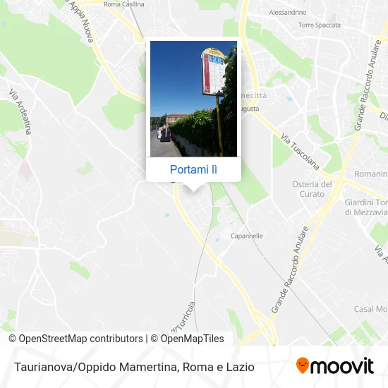 Mappa Taurianova/Oppido Mamertina