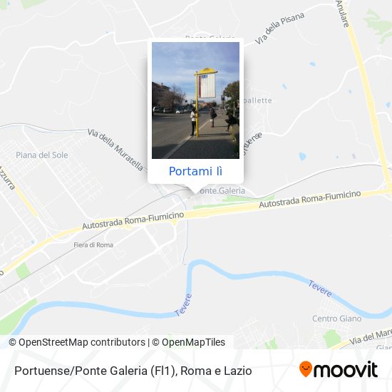 Mappa Portuense/Ponte Galeria (Fl1)