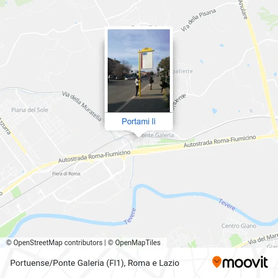 Mappa Portuense/Ponte Galeria (Fl1)