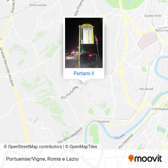 Mappa Portuense/Vigne