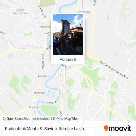 Mappa Radicofani/Monte S. Savino