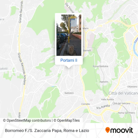 Mappa Borromeo F./S. Zaccaria Papa