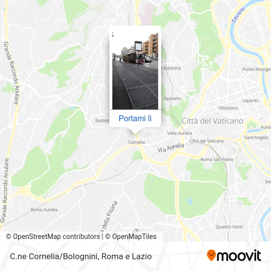 Mappa C.ne Cornelia/Bolognini