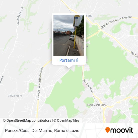 Mappa Panizzi/Casal Del Marmo