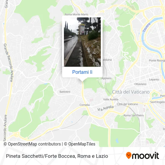 Mappa Pineta Sacchetti/Forte Boccea