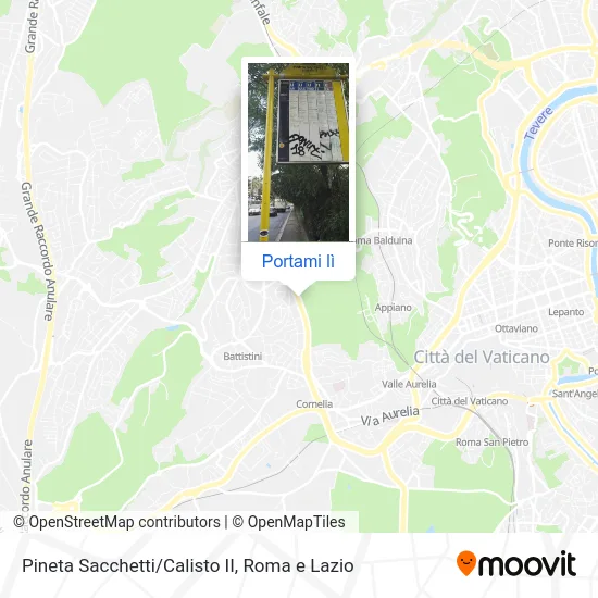 Mappa Pineta Sacchetti/Calisto II